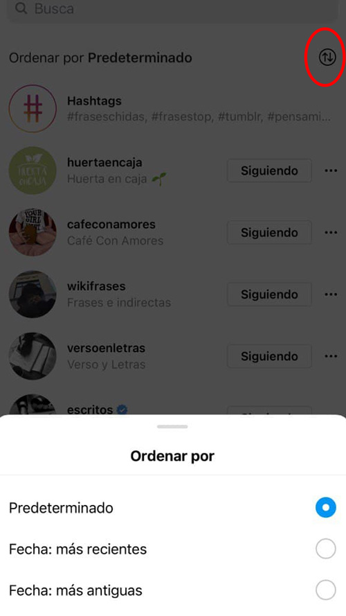 ver seguidores instagram