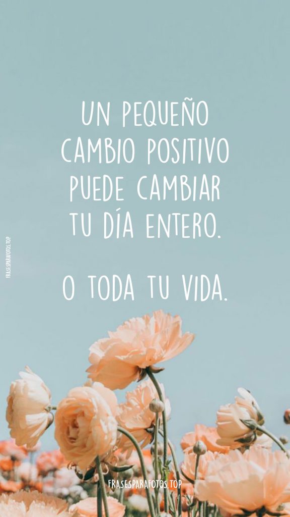 descripciones para fotos