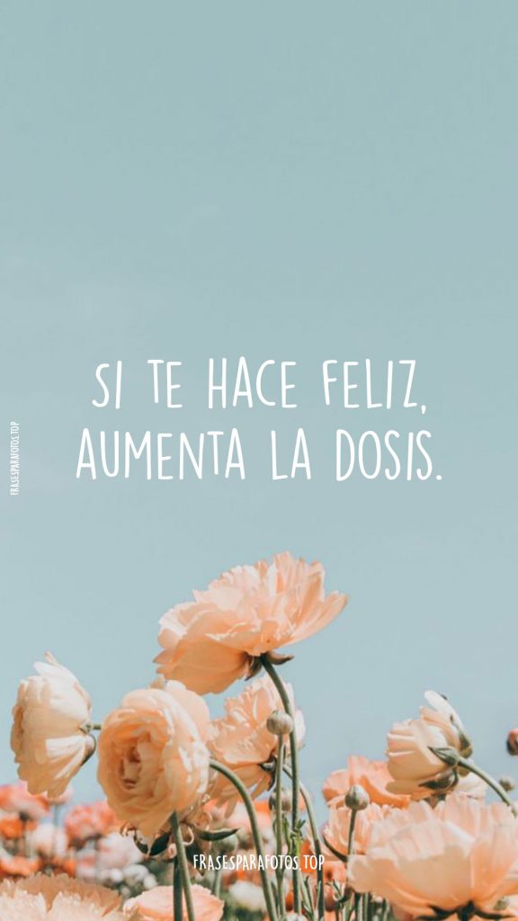 frases de la vida cortas