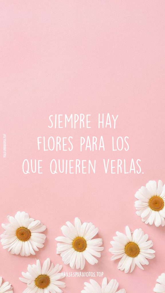 frases para fotos en facebook