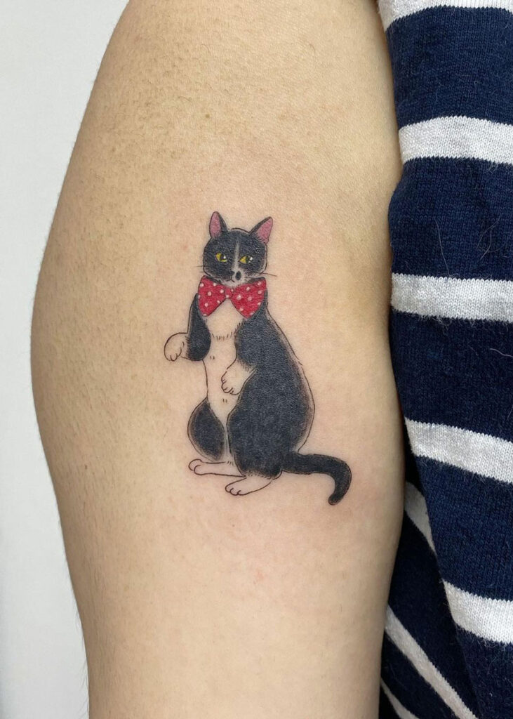 significado gato negro