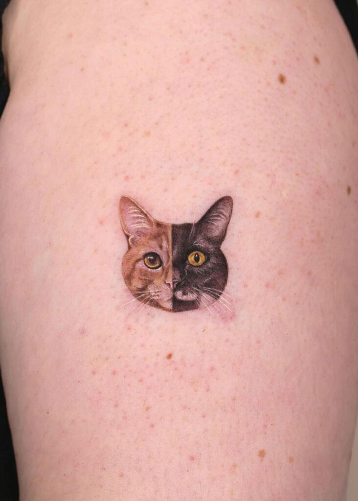tatuajes retratos de gatos