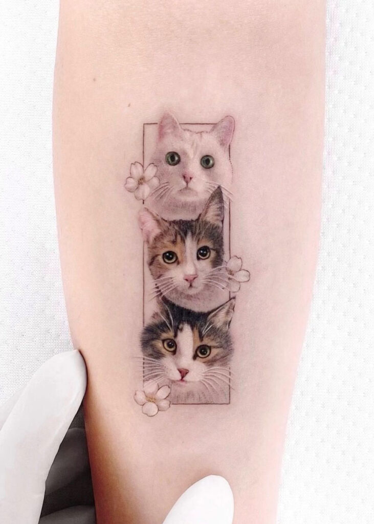 fotos de tatuajes de gatos