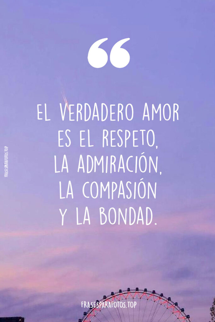 frases de amor tumblr