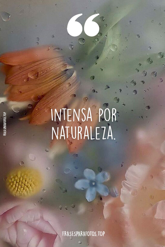 frases para instagram cortas