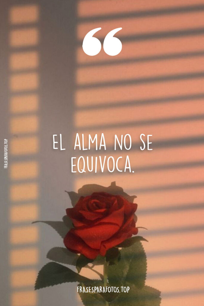 imagenes bonitas tumblr