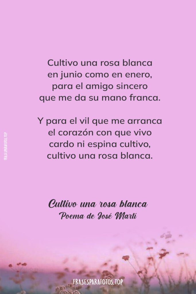 poemas para amigos