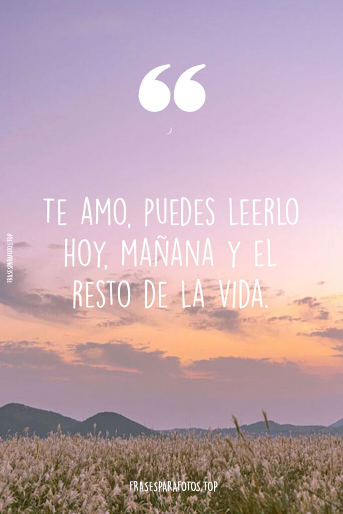 tiernas frases para tu novio