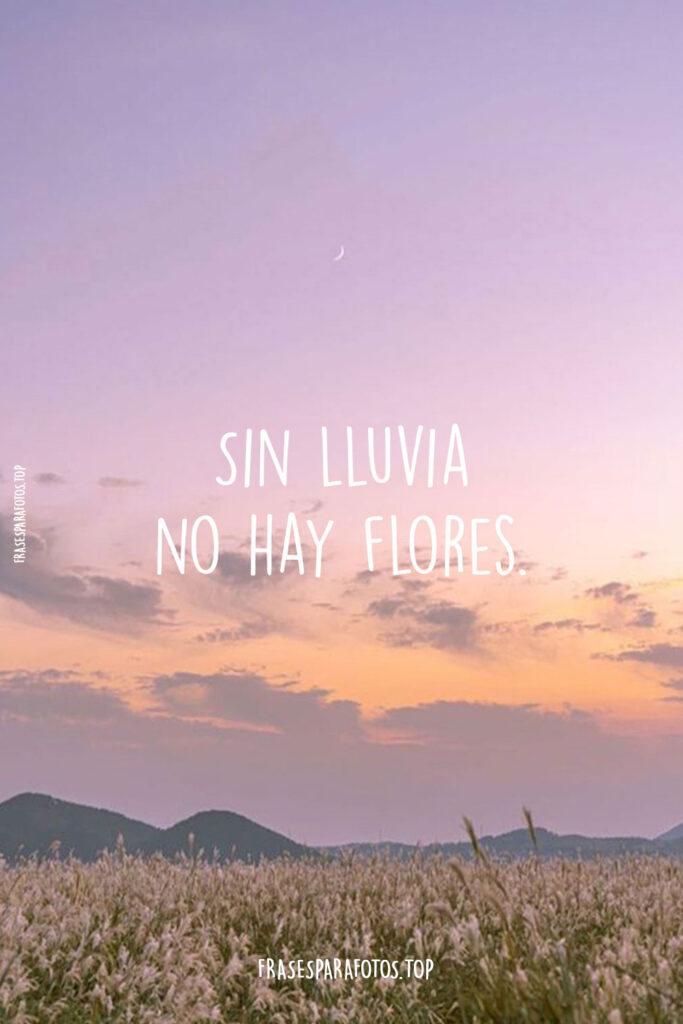 frases seguir adelante