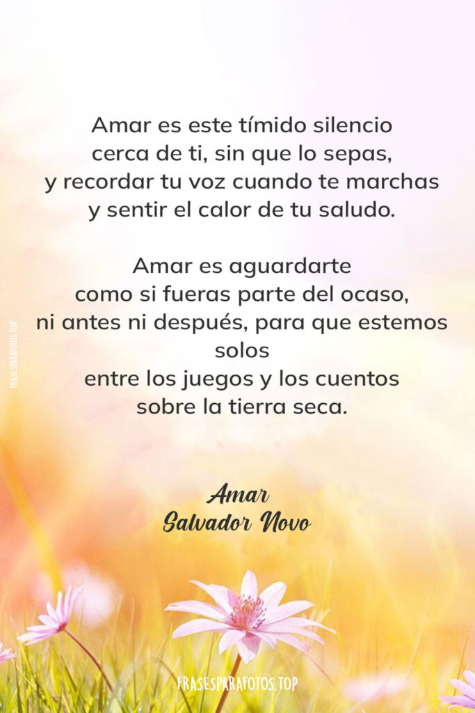 poema de amor corto