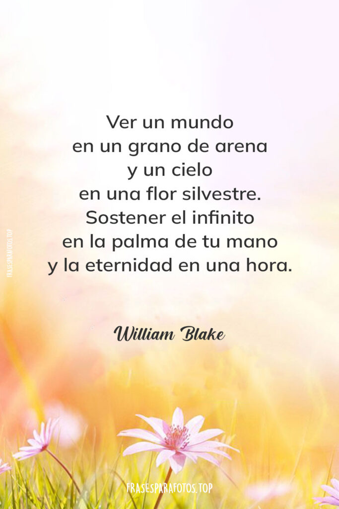 poemas cortos y bonitos